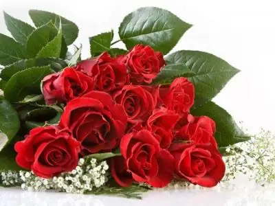 Ý Nghĩa 11 Hoa Hồng Vô Cùng Hay Bạn Đã Biết Chưa?