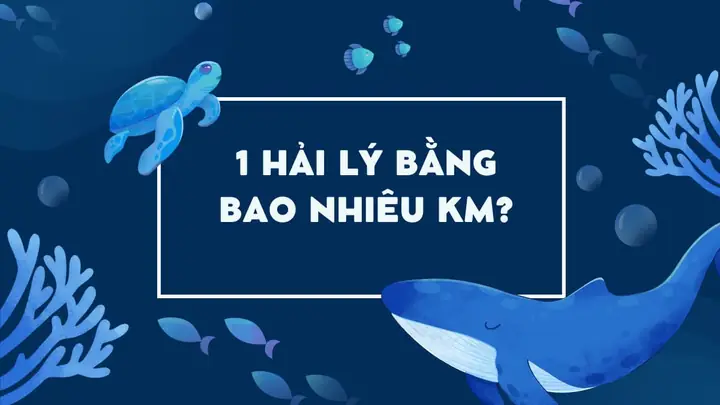 Hải Lý Bằng Bao Nhiêu Km? Quy Đổi Hải Lý Sang Đơn Vị Khác Hải Lý Bằng Bao Nhiêu Km? Quy Đổi Hải Lý Sang Đơn Vị Khác