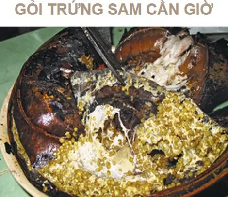 Ăn Con Sam Có Tác Dụng Gì