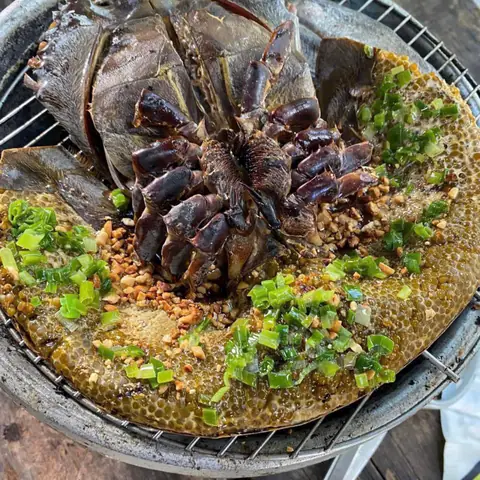 Ai Không Nên Ăn Con Sam
