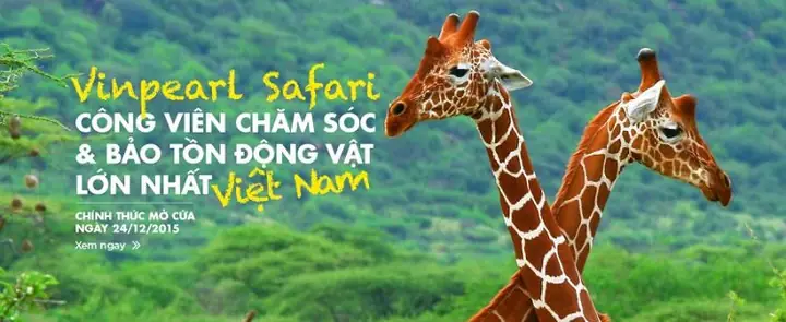 Kinh Nghiệm Du Lịch Vinpearl Phú Quốc: Ăn Gì, Ở Đâu, Khi Nào, Chi ...