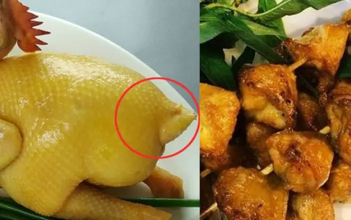 Hình Ảnh Gà Đeo Kính Hài Hước Hình Ảnh Gà Đeo Kính Hài Hước