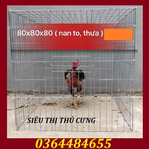 Meme Phao Câu Gà Đeo Kính Meme Phao Câu Gà Đeo Kính