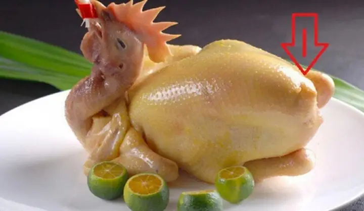 Ảnh Chế Hài Hước Gà Đeo Kính