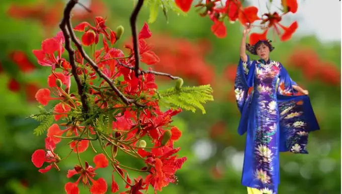 Anh Có Về Hải Phòng Với Em Không?