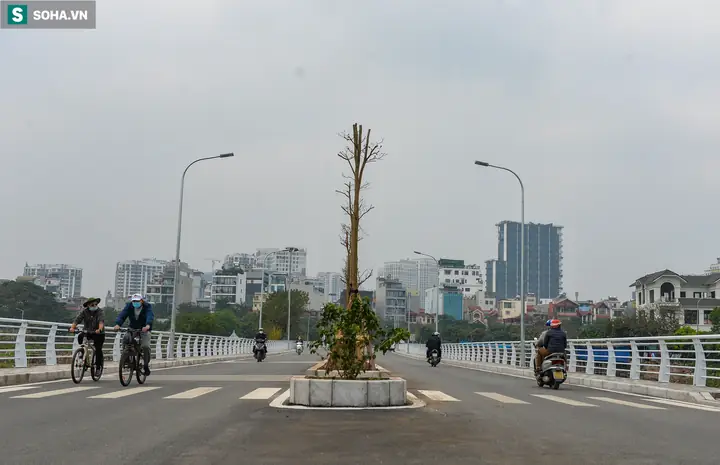 Người Dùng Muốn Tìm Kiếm Những Hình Ảnh Đẹp Về Đường Phố Hà Nội Trên Google.