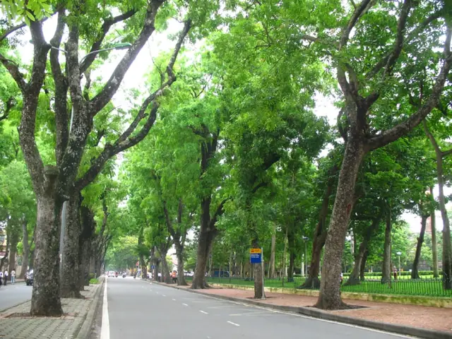 Người Dùng Muốn Tìm Kiếm Những Hình Ảnh Đẹp Về Đường Phố Hà Nội Trên Google.