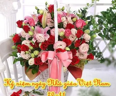 Làm Thế Nào Để Lựa Chọn Một Lẵng Hoa Chúc Mừng Ngày 20/11 Thật Đẹp Và Ý Nghĩa?