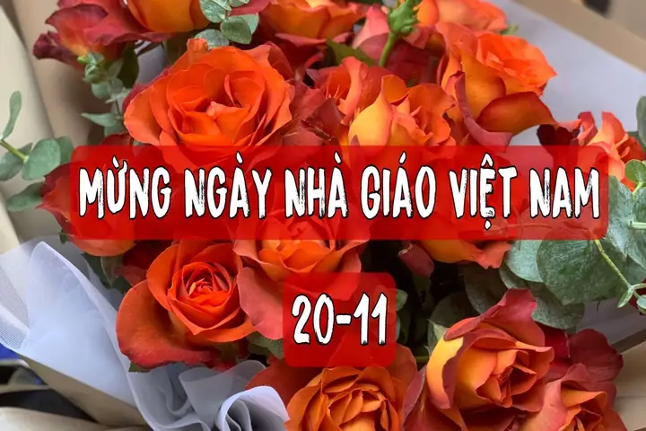 Làm Thế Nào Để Lựa Chọn Một Lẵng Hoa Chúc Mừng Ngày 20/11 Thật Đẹp Và Ý Nghĩa?