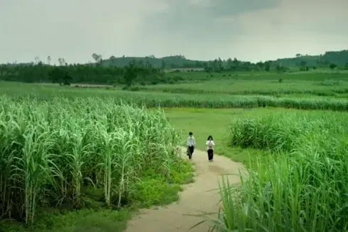 Hoa Vàng, Đúng Như Chờ Đợi Và Hi Vọng, Lấp Đầy Cả Cảm Quan Nghệ Thuật Lẫn Trái Tim Bằng Cả Các Khung Hình Thuộc Dạng Đẹp Nhất Của Phim Việt Hoa Vàng, Đúng Như Chờ Đợi Và Hi Vọng, Lấp Đầy Cả Cảm Quan Nghệ Thuật Lẫn Trái Tim Bằng Cả Các Khung Hình Thuộc Dạng Đẹp Nhất Của Phim Việt
