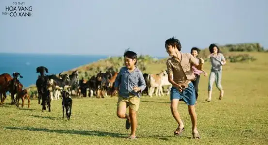 Những Ngày Ẩm Ương Chưa Lớn Mà Cũng Chẳng Còn Nhỏ, Có Ai Chưa Từng Dõi Mắt Nhìn Theo Một Ai. Những Ngày Ẩm Ương Chưa Lớn Mà Cũng Chẳng Còn Nhỏ, Có Ai Chưa Từng Dõi Mắt Nhìn Theo Một Ai.