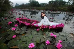 Around 60 Kilometers Southwest Of Ha Noi