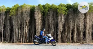 Chuyển Bằng Xe Máy