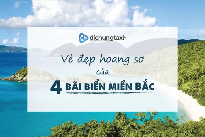 Bãi Biển Hoang Sơ Miền Bắc