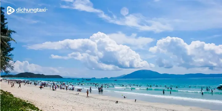 Bãi Đông (thanh Hóa)
