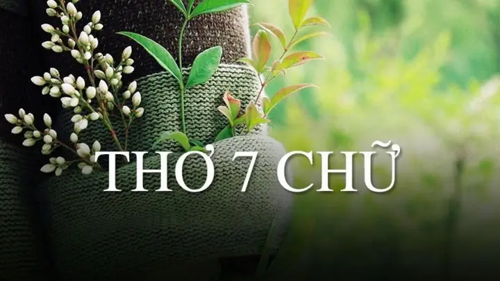 80+ Những Bài Thơ 7 Chữ Hay, Ngắn Gọn, Nổi Tiếng