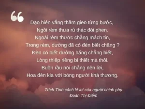 Bài Thơ Tình Cảnh Lẻ Loi Của Người Chinh Phụ - Trích Chinh Phụ Ngâm
