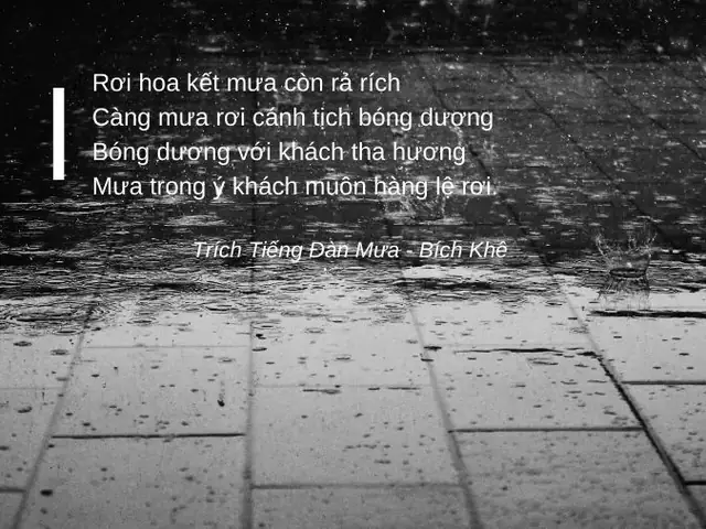Bài Thơ Tiếng Đàn Mưa