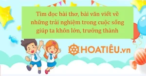 (siêu Hay) Tìm Đọc Bài Thơ, Bài Văn Viết Về Những Trải Nghiệm Trong ...