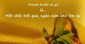 70 Câu Nói Hay Về Tuổi Thanh Xuân Học Trò Ngắn Gọn Hài Hước