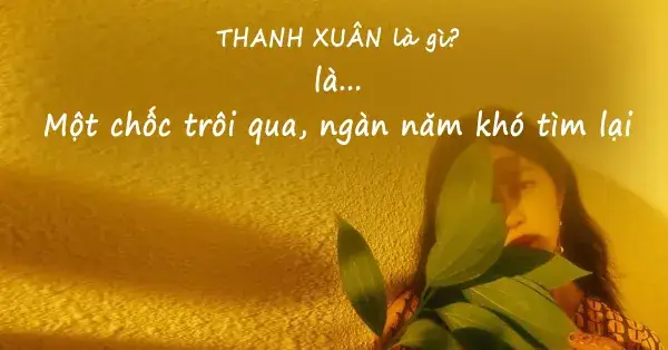 70 Câu Nói Hay Về Tuổi Thanh Xuân Học Trò Ngắn Gọn Hài Hước