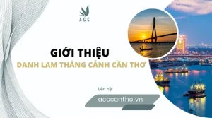 Giới Thiệu Danh Lam Thắng Cảnh Cần Thơ Chi Tiết