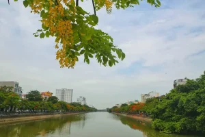 Cảnh Quan Nên Thơ Của Hồ Tam Bạc