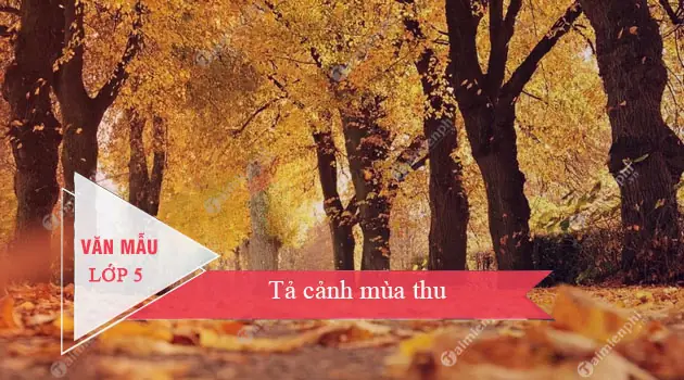 Bài Văn Tả Cảnh Mùa Thu: Cẩm Nang Cho Học Sinh & Người Viết