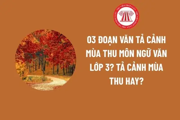 03 Đoạn Văn Tả Cảnh Mùa Thu Môn Ngữ Văn Lớp 3?