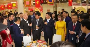 Tổ Chức Chương Trình Giới Thiệu Du Lịch Việt Nam, Kết Nối Doanh ...