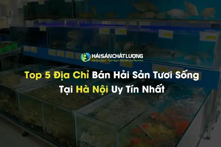 Top 5 Địa Chỉ Bán Hải Sản Tươi Sống Tại Hà Nội Uy Tín Nhất Top 5 Địa Chỉ Bán Hải Sản Tươi Sống Tại Hà Nội Uy Tín Nhất
