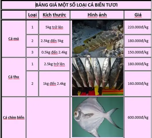 Tổng Hợp Các Loại Cá Biển Tươi Ngon, Bổ Dưỡng Được Ưa Chuộng Nhất Tại Hà Nội Tổng Hợp Các Loại Cá Biển Tươi Ngon, Bổ Dưỡng Được Ưa Chuộng Nhất Tại Hà Nội