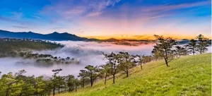Bản Đồ Đà Lạt Mới Nhất 2026 & Toplist 10 Địa Điểm Hot