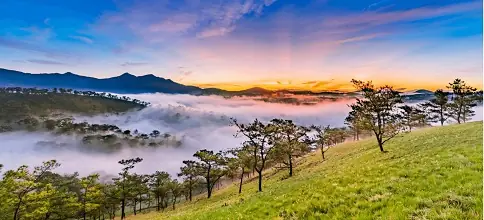 Bản Đồ Đà Lạt Mới Nhất 2026 & Toplist 10 Địa Điểm Hot