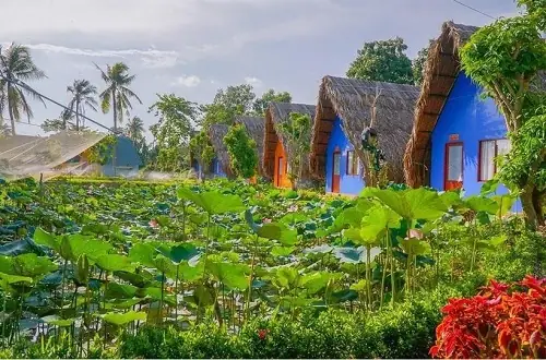 Vĩnh Long Vĩnh Long