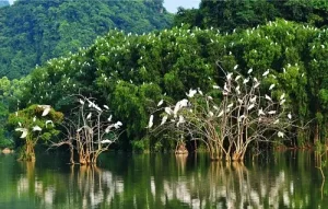 Bến Tre