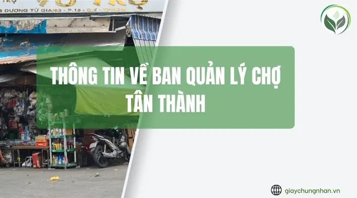 Ban Quản Lý Chợ Tân Thành: Tổng Quan Toàn Diện Về Cơ Chế Hoạt Động & Vai Trò Trong Kinh Tế Địa Phương