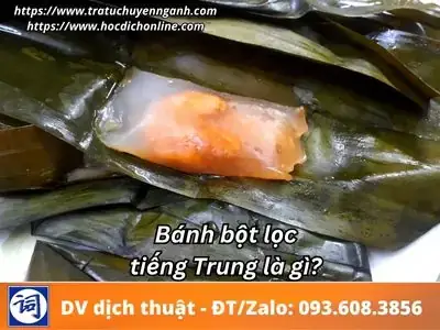 Sự Đa Dạng Trong Các Biến Thể Khác Nhau