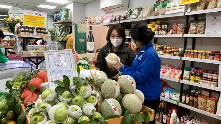 Cửa Hàng Biggreen – Địa Điểm Bán Bánh Tráng Phơi Sương Hà Nội