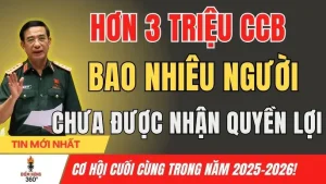 Báo Lao Động Việt Về Chùa Bà Vàng: Khám Phá Địa Danh Tâm Linh Nổi Tiếng