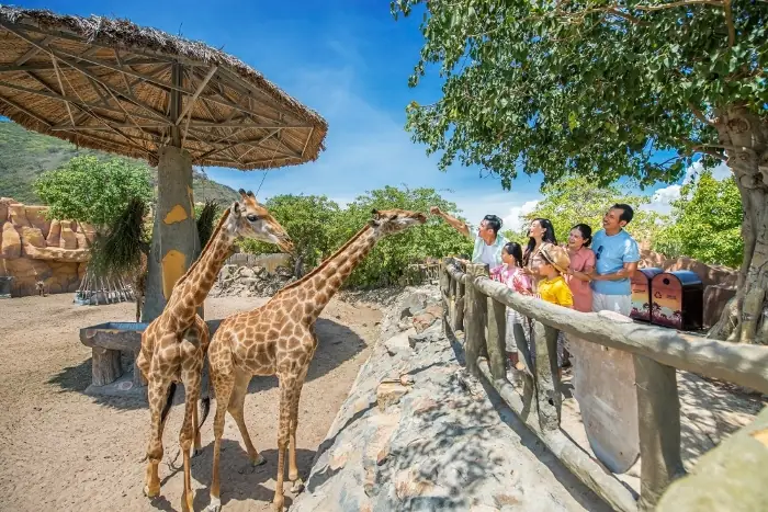 Thưởng Thức Nghệ Thuật Hoa Đẹp Mắt Tại Bảo Tàng Thưởng Thức Nghệ Thuật Hoa Đẹp Mắt Tại Bảo Tàng