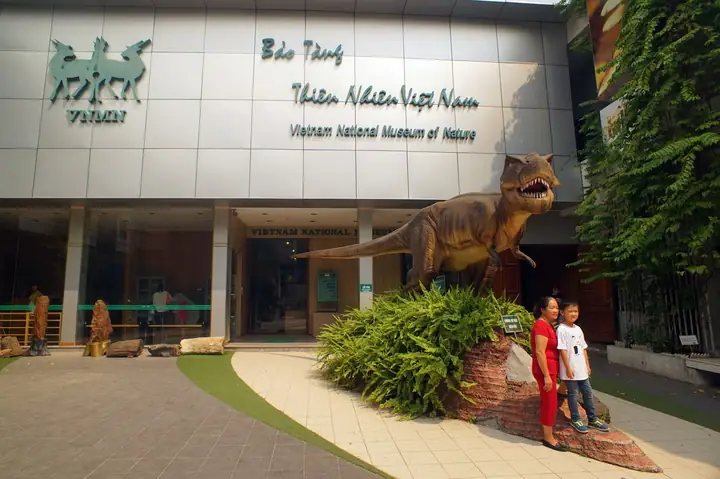 Bảo Tàng Thiên Nhiên Hà Nội – “thế Giới Động Thực Vật” Thu Nhỏ Siêu Thú Vị