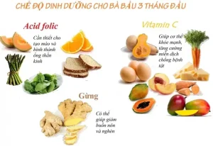 Bầu 3 Tháng Nên Ăn Gì: Cẩm Nang Dinh Dưỡng Cho Mẹ Khỏe, Con Phát Triển