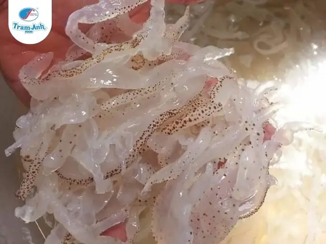 Lợi Ích Khi Bà Bầu Ăn Sứa Tươi Lợi Ích Khi Bà Bầu Ăn Sứa Tươi