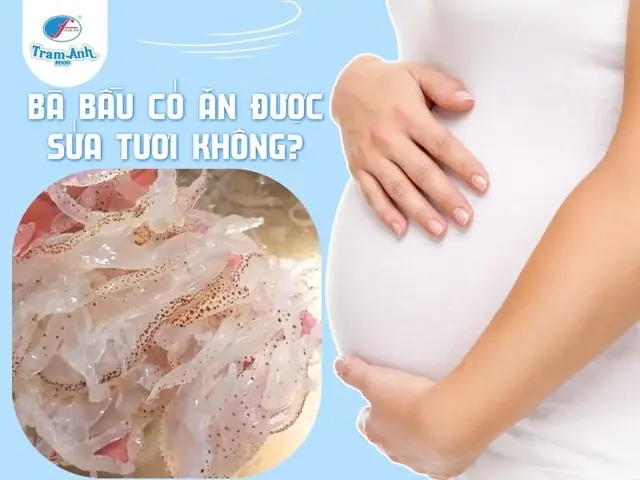 Bà Bầu Có Ăn Được Sứa Tươi Không? Bà Bầu Có Ăn Được Sứa Tươi Không?
