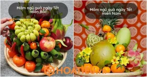 Mâm Ngũ Quả Miền Bắc Gồm Những Gì?