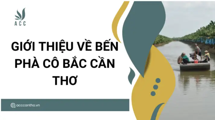 Giới Thiệu Về Bến Phà Cô Bắc Cần Thơ Giới Thiệu Về Bến Phà Cô Bắc Cần Thơ