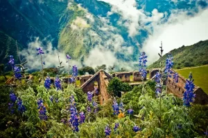 Where To Go In April: The Best Places To Travel