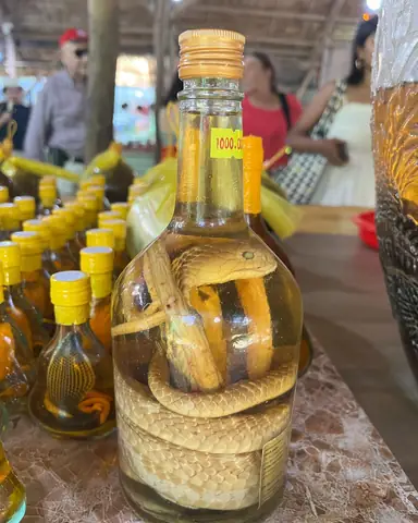 Snake Wine Snake Wine