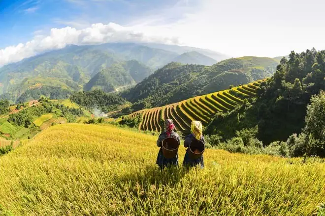 Best Time To Visit The Rice Terraces Of Sapa And Northern Vietnam